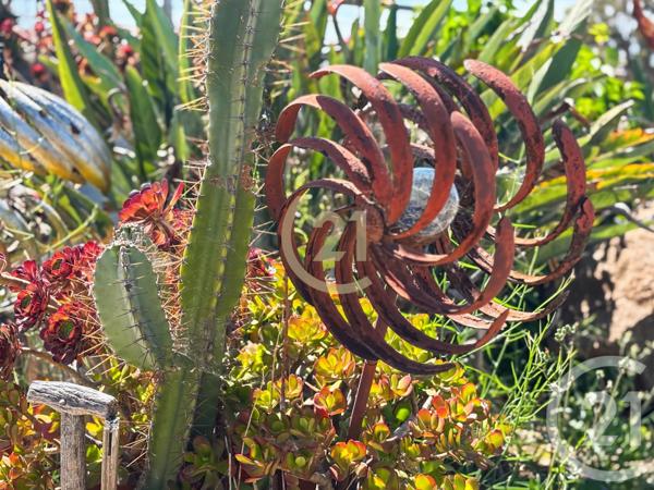 à vendre  90 m2 LUMIO - 202