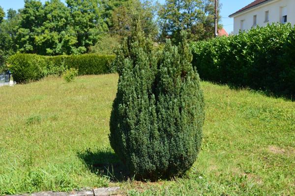 Terrain constructible 557 m² Franois