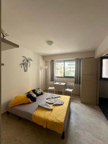 Appartement à louer à Nice (06000)