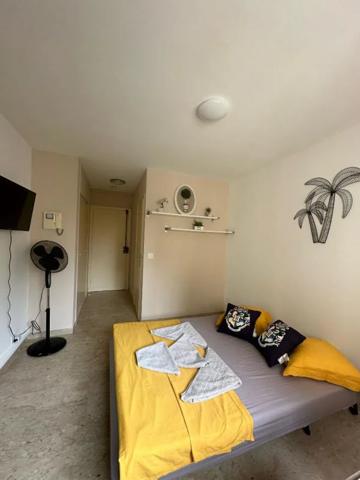 Appartement à louer à Nice (06000)