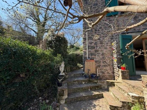 Vente / Maison et grand terrain