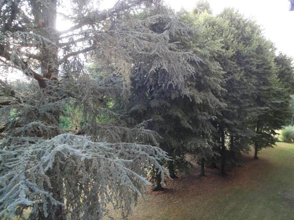 Appartement proche Gare Fontainebleau à pied