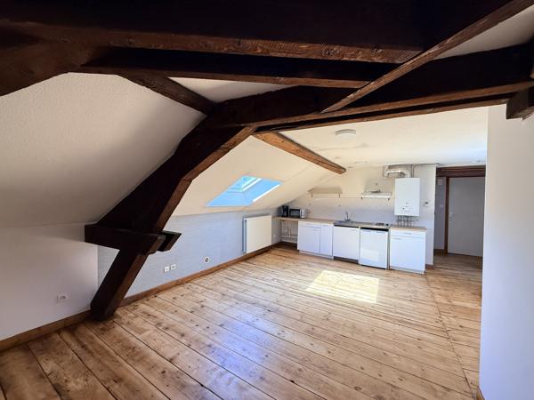 Appartement avec poutres apparentes – 2 chambres, tram à 150 m