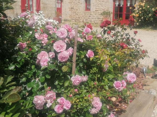 Maison 13 pièces 4 hectares