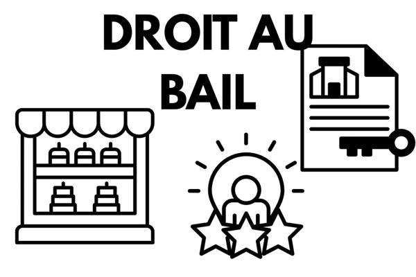 Droit au bail à vendre 500 m² Saint-Rémy-de-Provence