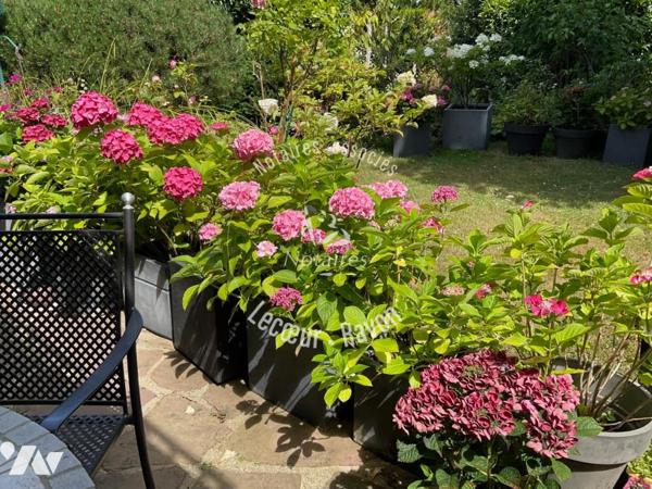 Maison familiale avec jardin, proche gare de Louveciennes