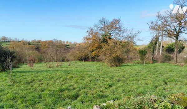 CHATEAU GUIBERT - Bourg - Terrain à batir