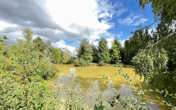 Maison à vendre    6 pièces •  Champfrémont