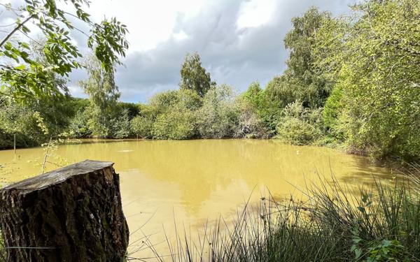 Maison à vendre    6 pièces •  Champfrémont