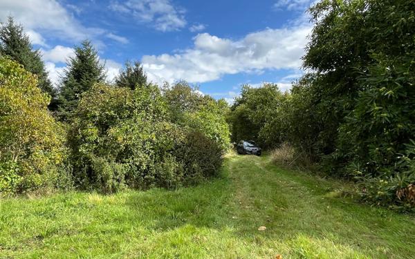 Maison à vendre    6 pièces •  Champfrémont