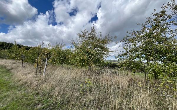 Maison à vendre    6 pièces •  Champfrémont