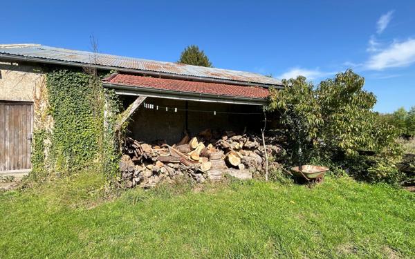 Maison à vendre    6 pièces •  Champfrémont