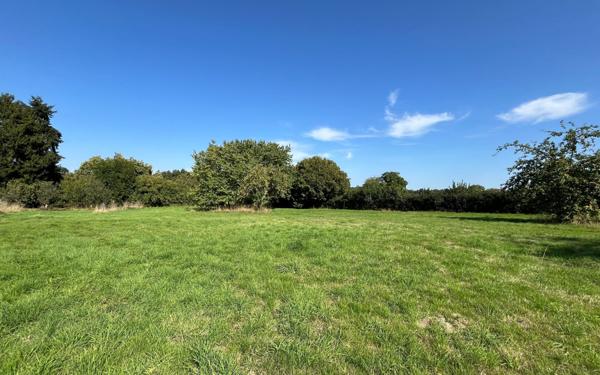 Maison à vendre    6 pièces •  Champfrémont