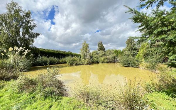 Maison à vendre    6 pièces •  Champfrémont