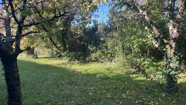 TERRAIN PLAT 465M²