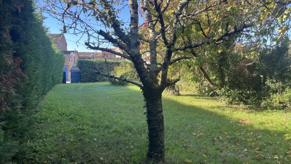 TERRAIN PLAT 465M²
