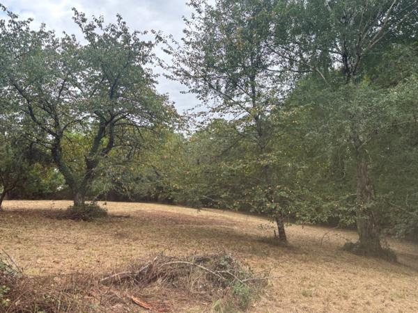 Terrain à vendre de 2 247,00 m² ()