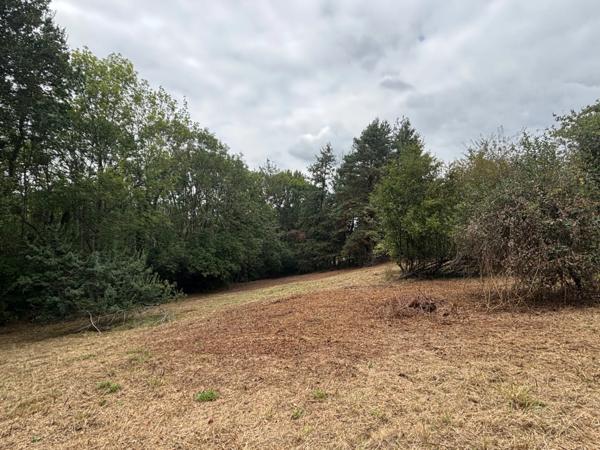 Terrain à vendre de 2 247,00 m² ()