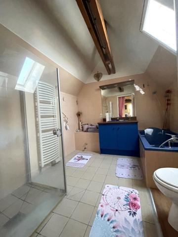 Deux maisons communicantes, près de 7 000 m² de terrain et une vue ouverte sur la campagne à Ligueil [REF. 7072]