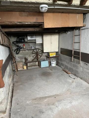 Achat - Maison Châtillon-sur-Indre 36700 8 pièces 119 m 2 20 m 2