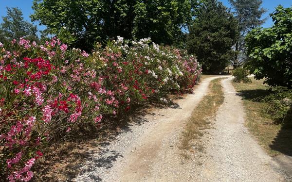 Maison à vendre    4 pièces • 100 m2 Alleins