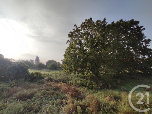 Terrain à vendre  710 m2 VILLERS COTTERETS - 02