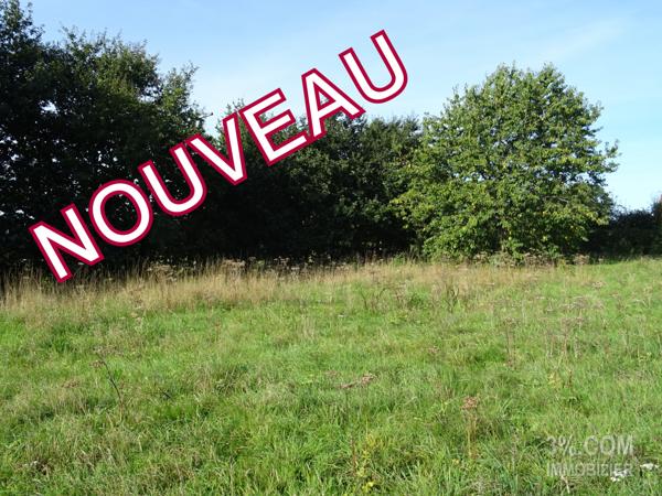 Terrain Constructible VIABILISÉ de 455 m² Savenay (44260)
