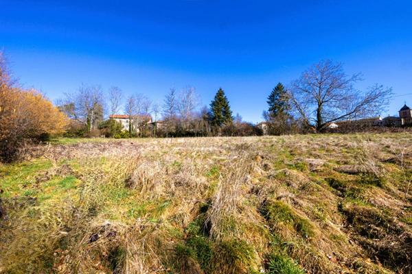 Terrain Sainte Agathe En Donzy 1254 m2