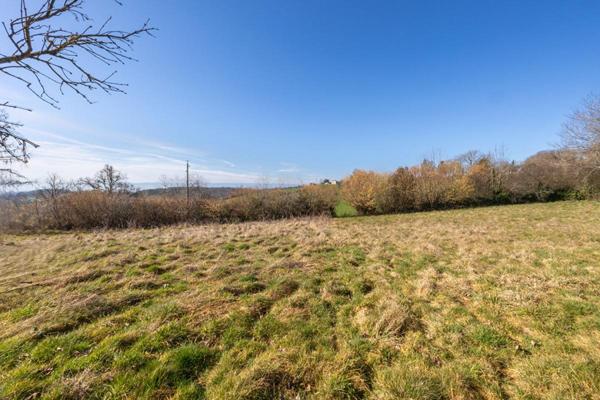 Terrain Sainte Agathe En Donzy 1254 m2