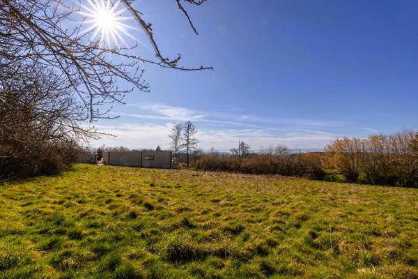 Terrain Sainte Agathe En Donzy 1254 m2