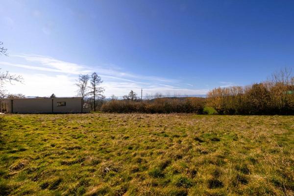 Terrain Sainte Agathe En Donzy 1254 m2