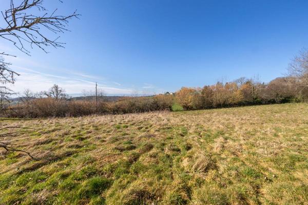 Terrain Sainte Agathe En Donzy 1254 m2