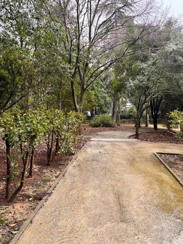 ✨ Montpellier – Celleneuve | Joli T2 avec balcon, piscine et vue jardin 🌿🏊‍♂️