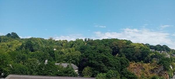 Maison atypique des années 30 avec vue dégagée sur espace vert 29600 Saint-Martin-des-Champs