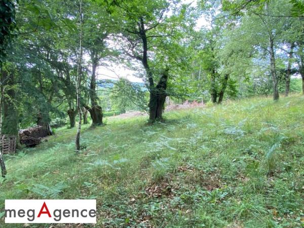 Terrain à TULLE, 19000 - 2355m²
