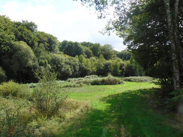 87250 BESSINES - Propriété de 4 hectares avec Tiny house + étang