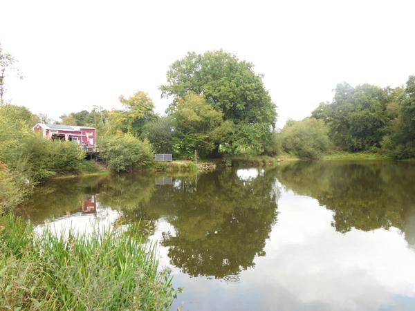 87250 BESSINES - Propriété de 4 hectares avec Tiny house + étang
