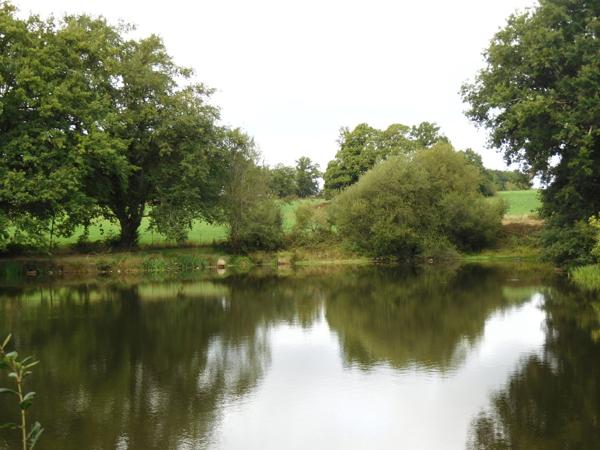 87250 BESSINES - Propriété de 4 hectares avec Tiny house + étang