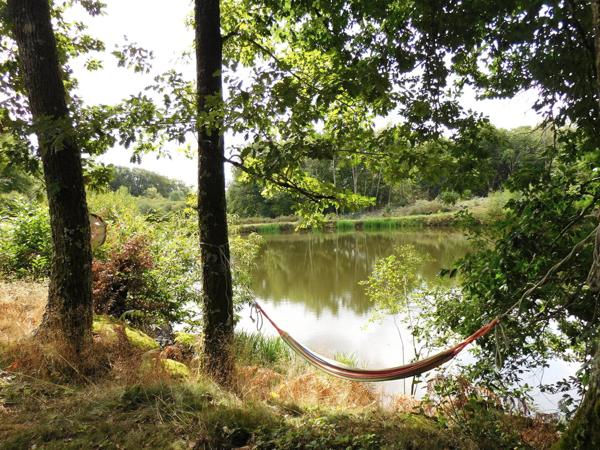 87250 BESSINES - Propriété de 4 hectares avec Tiny house + étang