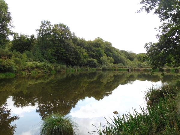 87250 BESSINES - Propriété de 4 hectares avec Tiny house + étang