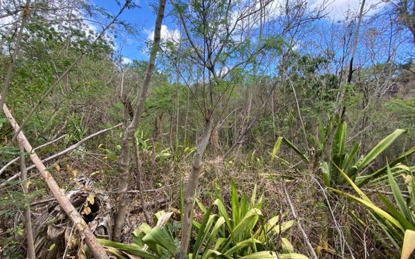 Terrain à vendre    Saint-Pierre