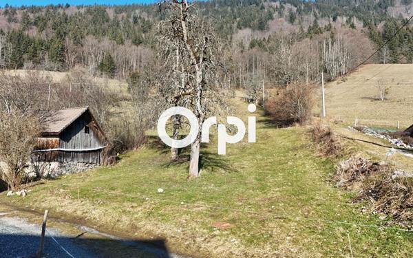 Terrain à vendre    Saint-Jean-de-Tholome