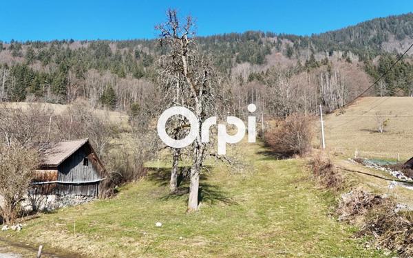 Terrain à vendre    Saint-Jean-de-Tholome