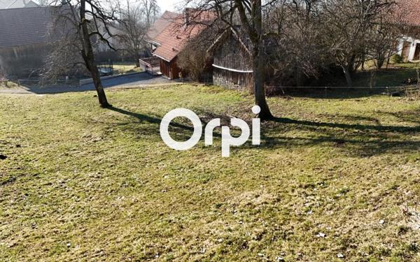 Terrain à vendre    Saint-Jean-de-Tholome