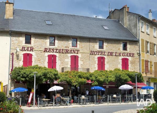 Hôtel-restaurant à vendre 510 m² Sévérac d'Aveyron