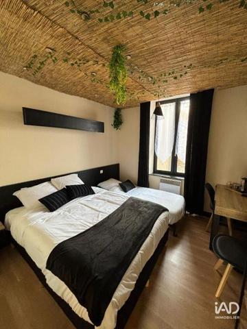 Hôtel-restaurant à vendre 510 m² Sévérac d'Aveyron