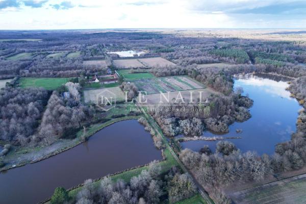 Propriété de chasse de 60 hectares avec étangs au cœur de la Sologne