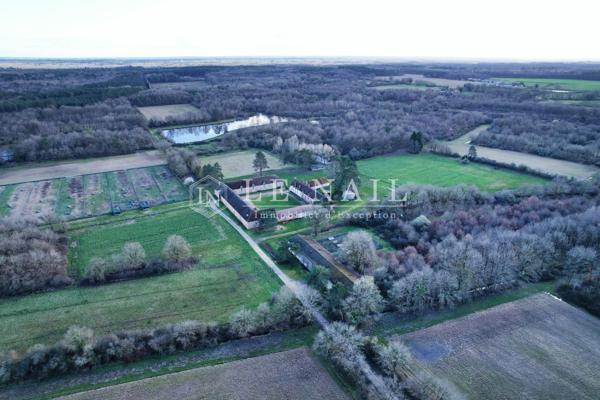 Propriété de chasse de 60 hectares avec étangs au cœur de la Sologne