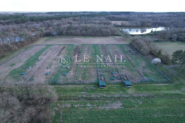 Propriété de chasse de 60 hectares avec étangs au cœur de la Sologne