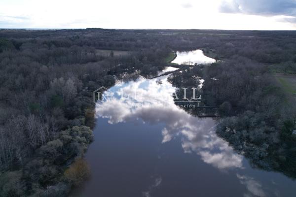 Propriété de chasse de 60 hectares avec étangs au cœur de la Sologne